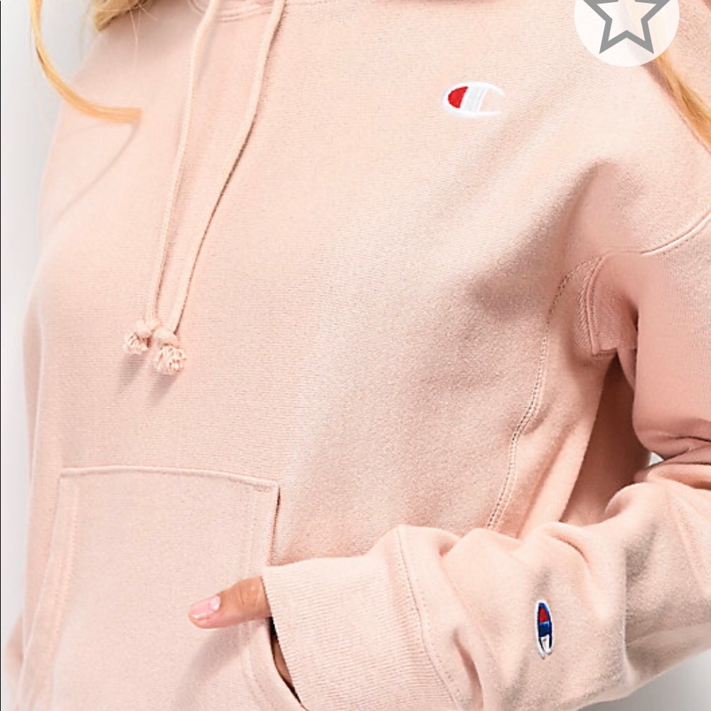 Champion crop hoodie